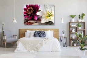 Stampa su tela – Fiori in ciotola con pietre Zen