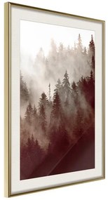 Poster  Forest Fog  Cornice Quadri Cornice d'oro con passe-partout, Larghezza x Altezza Home decor 30x45