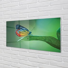 Quadro acrilico Foglia di farfalla colorata 100x50 cm