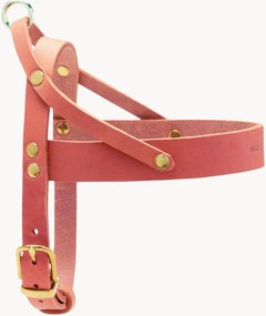 Imbracatura per cani in pelle Classic, varie misure