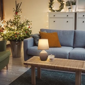 Aigostar - Lampada da tavolo 1xE14/40W/230V grigio