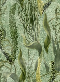 Mindthegap Carta da parati Aquatic Plants - WP20717