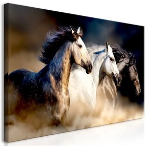 Quadro Sons of the Wind (1 Part) Wide  Colore Bianco, Dimensioni e Misure 120x60