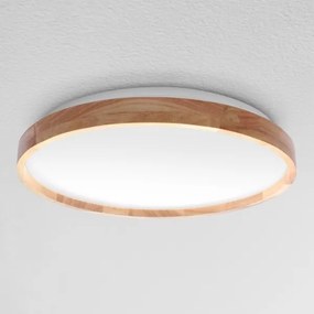 Brilagi - Plafoniera dimmerabile a LED ALSON LED/48W/230V 3000-6500K + telecomando