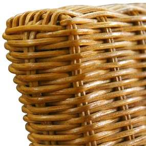 Sedie da pranzo 2 pz marroni in rattan naturale