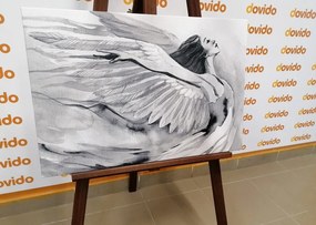 Quadro su tela – Angelo libero in bianco e nero
