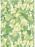 GP & J Baker Carta da parati Tropical Floral - Green