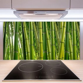 Pannello paraschizzi cucina Foresta di bambù Germogli di bambù 100x50 cm
