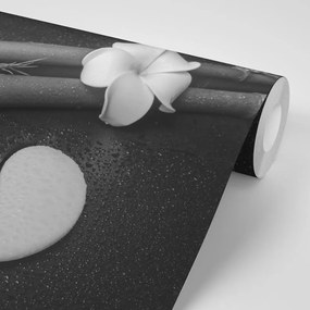 Carta da parati – Natura morta in bianco e nero con Yin e Yang
