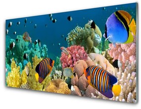 Quadro in vetro acrilico Natura della barriera corallina 100x50 cm
