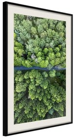 Poster  Forest from a Bird's Eye View  Cornice Quadri Cornice nera con pass-partout, Larghezza x Altezza Home decor 20x30