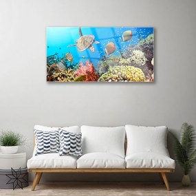 Quadro acrilico Paesaggio della barriera corallina 100x50 cm