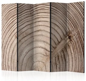 Paravento Wood grain II [Room Dividers]