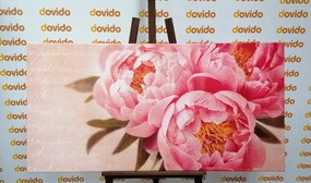 Stampa su tela – Peonia delicata