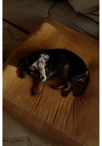 Pouf da divano in velluto a coste di alghe marine More - Karup Design