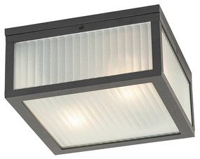 Plafoniera da esterno nera con vetro a coste 2 luci IP44 - Charlois