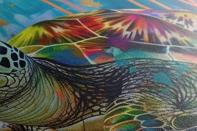 Stampa su tela – Tartaruga con imitazione di pittura