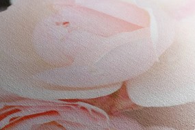 Quadro su tela – Pieno di rose