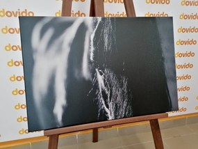Quadro su tela – Cavallo maestoso in bianco e nero