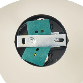 Lampada da parete di design beige organica 20 cm 2 luci - Pulley