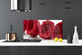 Pannello cucina paraschizzi Rose, fiori, piante 100x50 cm