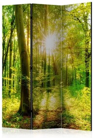 Paravento Forest Rays [Room Dividers]