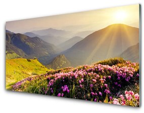 Quadro acrilico Paesaggio del prato di montagna 100x50 cm