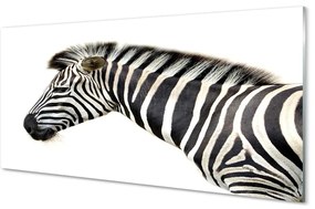 Quadro di vetro Zebra 100x50 cm