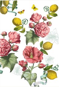 Set di 4 strofinacci in lino e cotone Citrons De Menton Romance