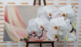 Quadro su tela – Orchidea bianca su tela