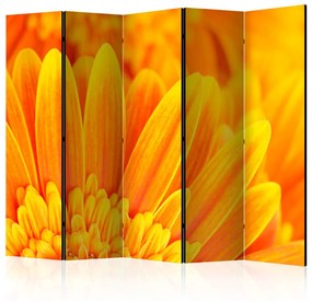 Paravento design Gerbera Gialla II - Composizione di fiori gialli brillanti