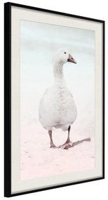 Poster  Walking Goose  Cornice Quadri Cornice nera con pass-partout, Larghezza x Altezza Home decor 30x45