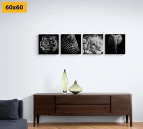 Set di quadri – Animali selvatici in bianco e nero