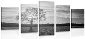 Quadri 5 pezzi – Albero solitario in bianco e nero