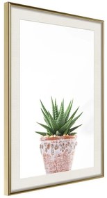 Poster  Piece of Nature III  Cornice Quadri Cornice d'oro con passe-partout, Larghezza x Altezza Home decor 20x30