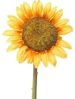 Set 2 Girasole Artificiale Altezza 80 cm Giallo