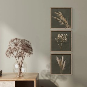 Set di dipinti 3 pz 30x30 cm Pampas – Styler