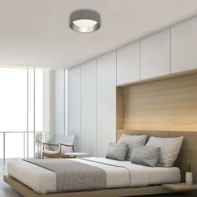 Briloner 3482014 - Lampada LED da soffitto STARRY LED/12W/230V grigio/argento