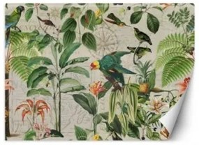 Carta Da Parati, Collage di pappagalli colorati nella giungla 100x70 Autoadesiva Fliselina TNT
