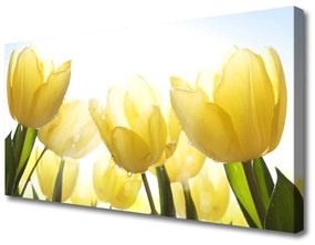 Quadro su tela Tulipani, fiori, raggi 100x50 cm