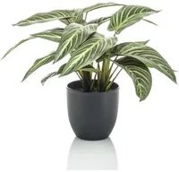 Emerald Calathea Artificiale Zebrina 38 cm in Vaso 444640