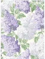 Cole & Son Carta da parati Lilac - Purple & White