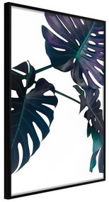 Poster  Evergreen Monstera  Cornice Quadri Cornice nera, Larghezza x Altezza Home decor 30x45