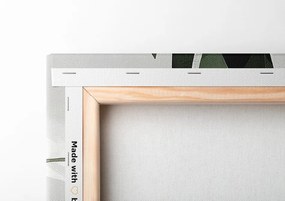 Quadro su tela – Foglia di felce