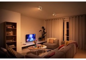 Philips 50602/31/P0 - Luce Spot a LED BUKKO 2xLED/4,5W/230V