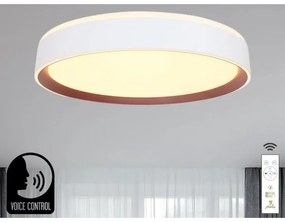 Plafoniera LED dimmerabile con controllo vocale OPAL LED/48W/230V + +TC