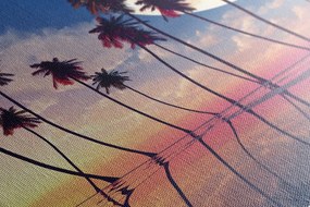 Stampa su tela – Tramonto sopra palme tropicali