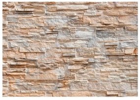 Fotomurale  Stone Virtuosity  Larghezza x Altezza Home decor 450x315