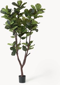 Pianta artificiale Fiddle Leaf Fig