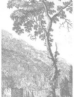 KEK Amsterdam Carta da parati panoramica Engraved Landscapes 1 - BW - Breite 3.896m